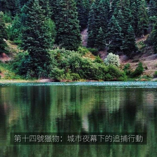 第十四號獵物：城市夜幕下的追捕行動