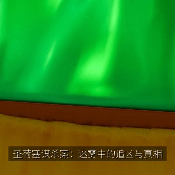 圣荷塞谋杀案：迷雾中的追凶与真相
