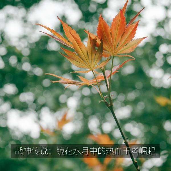 战神传说：镜花水月中的热血王者崛起